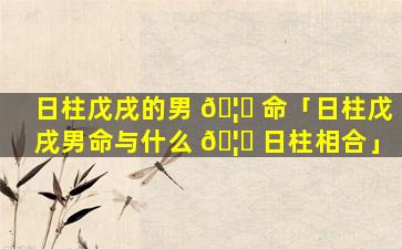 日柱戊戌的男 🦄 命「日柱戊戌男命与什么 🦄 日柱相合」